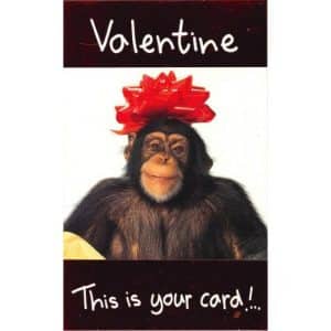 Valentine chimp
