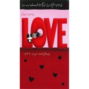 Wonderful Girlfriend