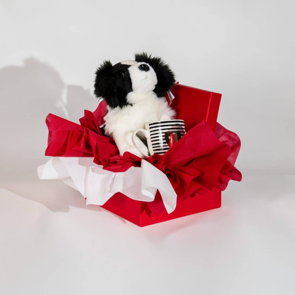 Valentine gift box with plush puppy and love mug in red and white romantic packaging on neutral background