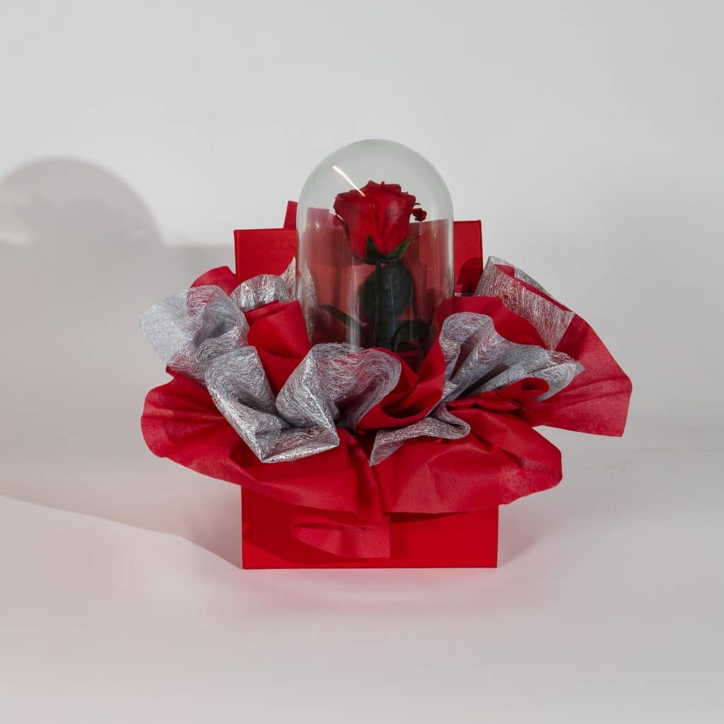 Valentine gift box with red forever rose in glass dome and elegant red silver luxury packaging on neutral background