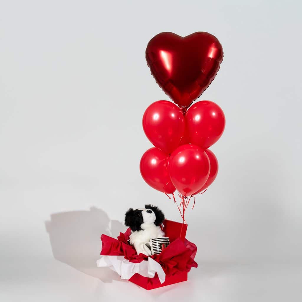 Valentine’s gift box with plush puppy toy, red latex balloon cluster and large red heart foil balloon on a neutral background.