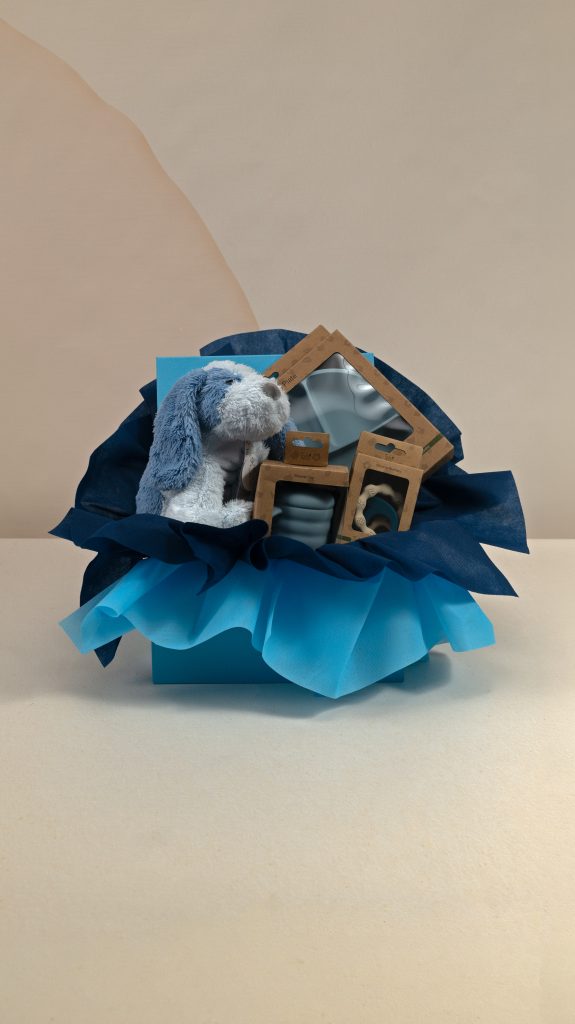 Baby boy gift box with soft blue plush puppy, AMEK Toys silicone divided plate, cup and teether, presented in blue gift wrapping.